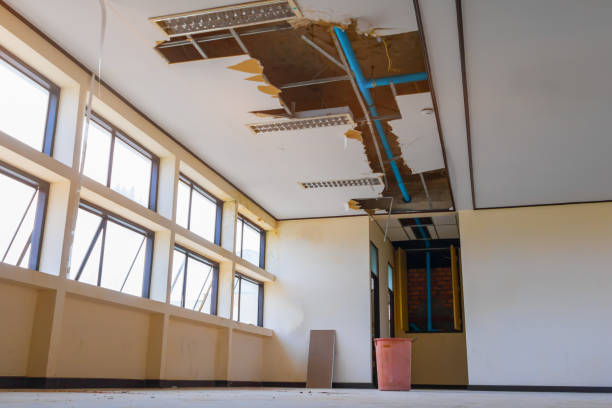 Best Sewage cleanup and water damage restoration  in Gold Canyon, AZ