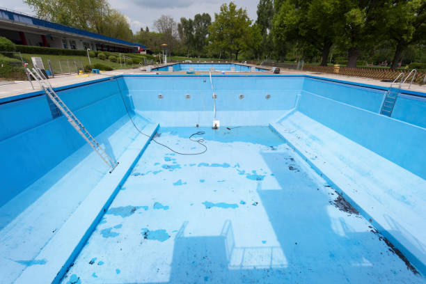 Best Flood damage cleanup  in Gold Canyon, AZ