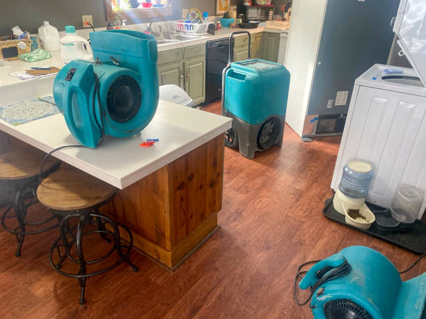 Best Flood damage cleanup  in Gold Canyon, AZ