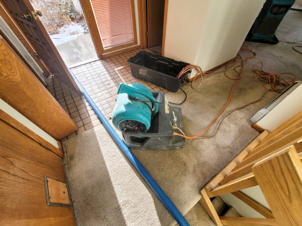 Best Sewage cleanup and water damage restoration  in Gold Canyon, AZ