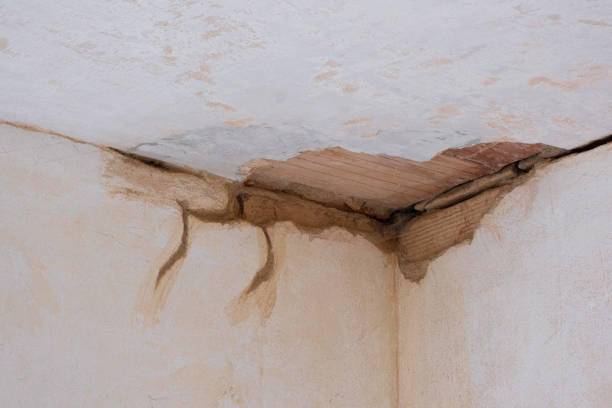 Best Carpet water damage restoration  in Gold Canyon, AZ