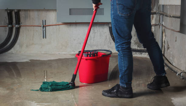 Best Mold removal after water damage  in Gold Canyon, AZ