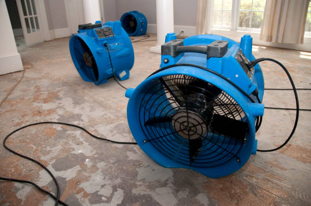 Best Professional water damage repair  in Gold Canyon, AZ