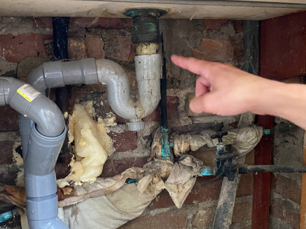 Best Local water damage restoration  in Gold Canyon, AZ