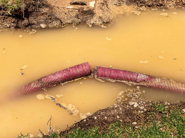 Best Water damage restoration process  in Gold Canyon, AZ