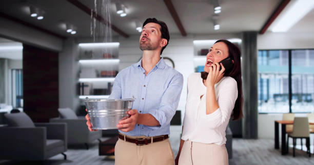 Carpet water damage restoration in Gold Canyon, AZ
